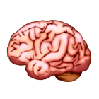 Brain Emoji