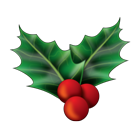 Holly Emoji