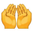 Islam Praying Hands Emoji